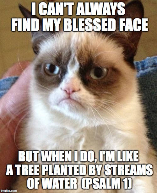 Grumpy Cat Meme | I CAN'T ALWAYS FIND MY BLESSED FACE BUT WHEN I DO, I'M LIKE A TREE PLANTED BY STREAMS OF WATER  (PSALM 1) | image tagged in memes,grumpy cat | made w/ Imgflip meme maker