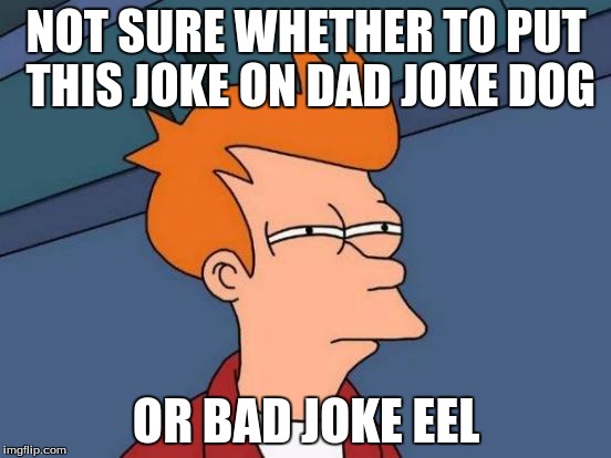 What to choose? | NOT SURE WHETHER TO PUT THIS JOKE ON DAD JOKE DOG OR BAD JOKE EEL | image tagged in memes,futurama fry | made w/ Imgflip meme maker