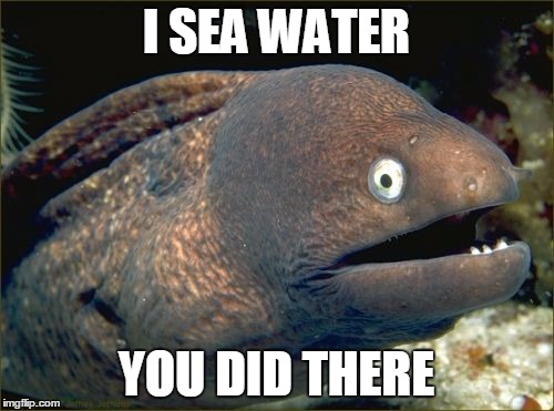 I SEA WATER YOU DID THERE | made w/ Imgflip meme maker