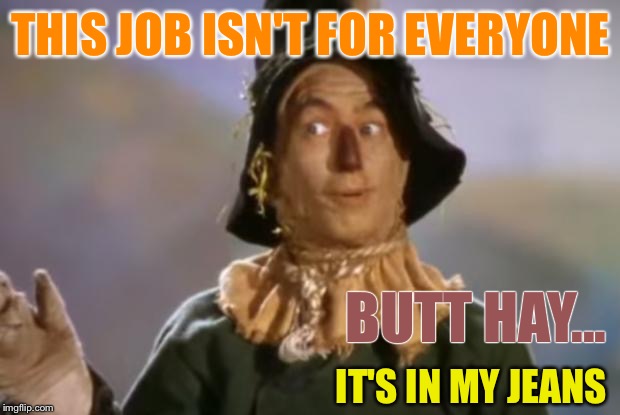Scarecrow | THIS JOB ISN'T FOR EVERYONE BUTT HAY... IT'S IN MY JEANS | image tagged in scarecrow,memes | made w/ Imgflip meme maker