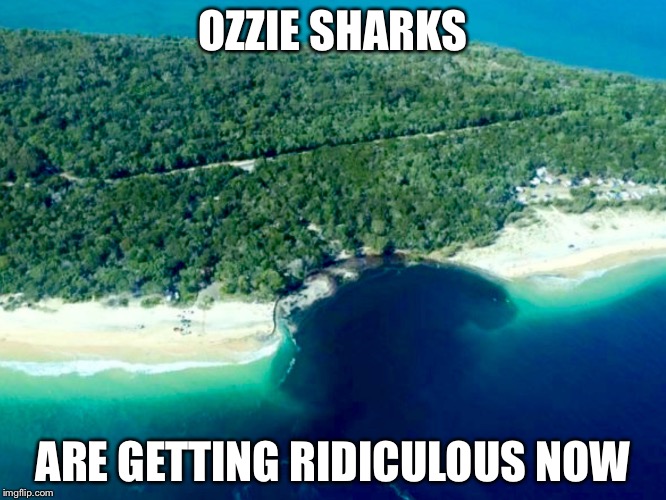 OZZIE SHARKS ARE GETTING RIDICULOUS NOW | image tagged in australia,sharks | made w/ Imgflip meme maker
