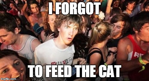 Sudden Clarity Clarence | I FORGOT TO FEED THE CAT | image tagged in memes,sudden clarity clarence | made w/ Imgflip meme maker