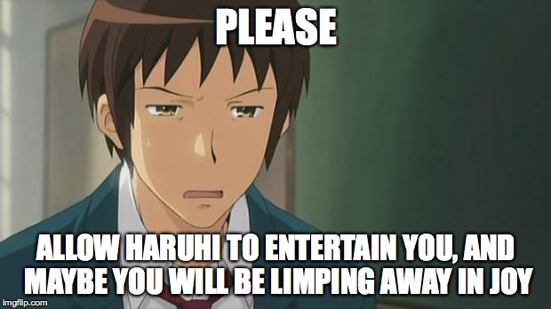 Kyon WTF | PLEASE ALLOW HARUHI TO ENTERTAIN YOU, AND MAYBE YOU WILL BE LIMPING AWAY IN JOY | image tagged in kyon wtf | made w/ Imgflip meme maker