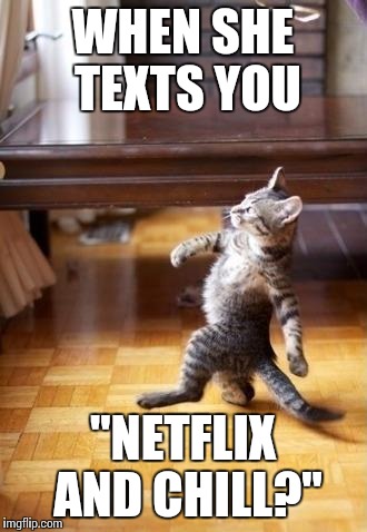 Cool Cat Stroll Meme | WHEN SHE TEXTS YOU "NETFLIX AND CHILL?" | image tagged in memes,cool cat stroll | made w/ Imgflip meme maker