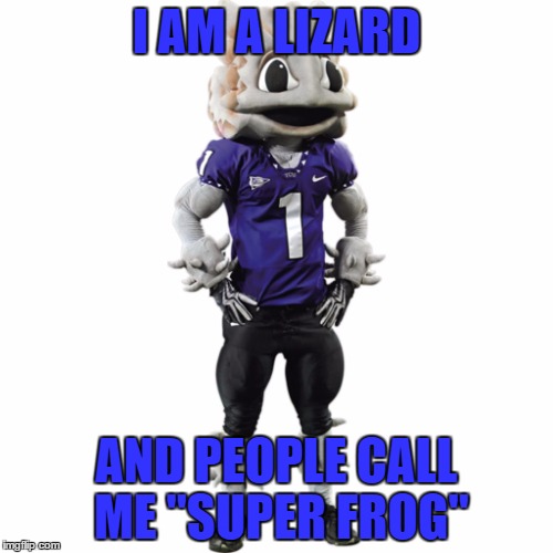 I AM A LIZARD AND PEOPLE CALL ME "SUPER FROG" | image tagged in i am a | made w/ Imgflip meme maker