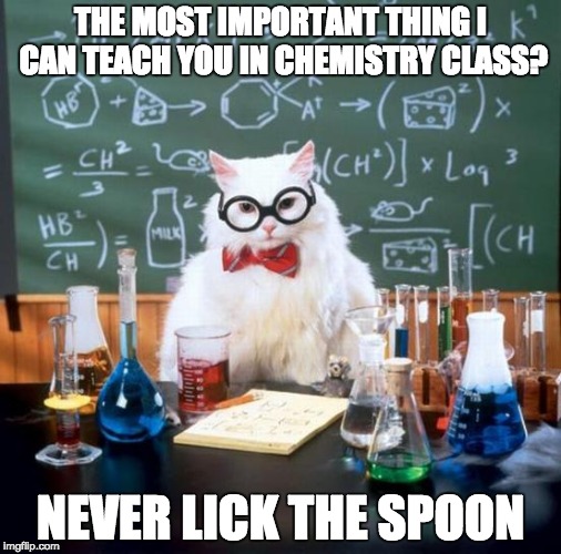 Chemistry Cat | THE MOST IMPORTANT THING I CAN TEACH YOU IN CHEMISTRY CLASS? NEVER LICK THE SPOON | image tagged in memes,chemistry cat | made w/ Imgflip meme maker
