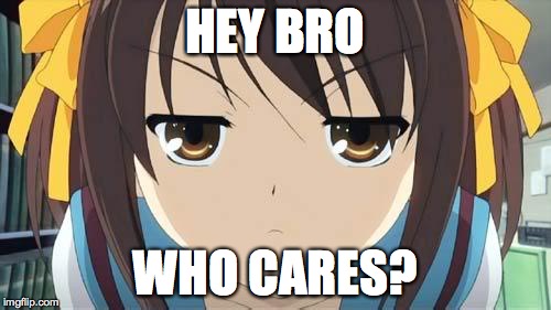 Haruhi stare | HEY BRO WHO CARES? | image tagged in haruhi stare | made w/ Imgflip meme maker