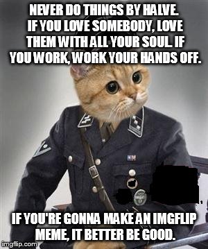 some people need to make an effort on their memes! | NEVER DO THINGS BY HALVE. IF YOU LOVE SOMEBODY, LOVE THEM WITH ALL YOUR SOUL. IF YOU WORK, WORK YOUR HANDS OFF. IF YOU'RE GONNA MAKE AN IMGF | image tagged in grammar nazi cat,imgflip | made w/ Imgflip meme maker