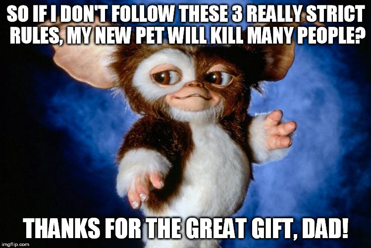 Were there no puppies available? | SO IF I DON'T FOLLOW THESE 3 REALLY STRICT RULES, MY NEW PET WILL KILL MANY PEOPLE? THANKS FOR THE GREAT GIFT, DAD! | image tagged in gizmo,gremlins | made w/ Imgflip meme maker