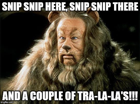 cowardly lion | SNIP SNIP HERE, SNIP SNIP THERE AND A COUPLE OF TRA-LA-LA'S!!! | image tagged in cowardly lion | made w/ Imgflip meme maker