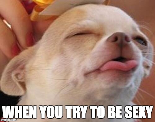 WHEN YOU TRY TO BE SEXY | image tagged in funny | made w/ Imgflip meme maker