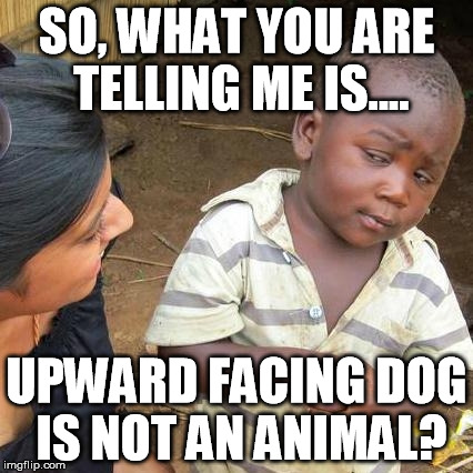 Third World Yoga | SO, WHAT YOU ARE TELLING ME IS.... UPWARD FACING DOG IS NOT AN ANIMAL? | image tagged in memes,third world skeptical kid | made w/ Imgflip meme maker