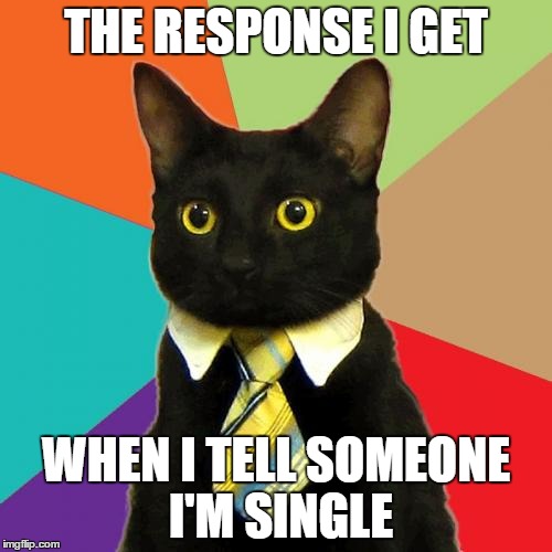 Business Cat | THE RESPONSE I GET WHEN I TELL SOMEONE I'M SINGLE | image tagged in memes,business cat | made w/ Imgflip meme maker