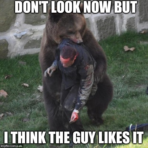 bear hug | DON'T LOOK NOW BUT I THINK THE GUY LIKES IT | image tagged in bear hug | made w/ Imgflip meme maker