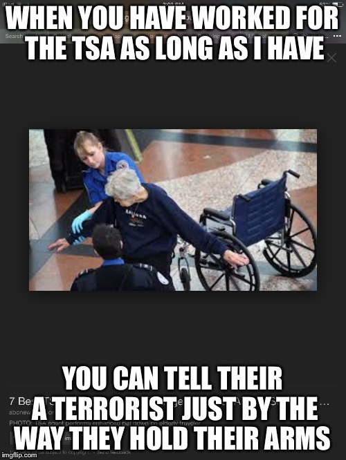 Stay safe | WHEN YOU HAVE WORKED FOR THE TSA AS LONG AS I HAVE YOU CAN TELL THEIR A TERRORIST JUST BY THE WAY THEY HOLD THEIR ARMS | image tagged in law | made w/ Imgflip meme maker