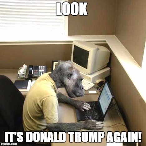 Monkey Business Meme | LOOK IT'S DONALD TRUMP AGAIN! | image tagged in memes,monkey business | made w/ Imgflip meme maker