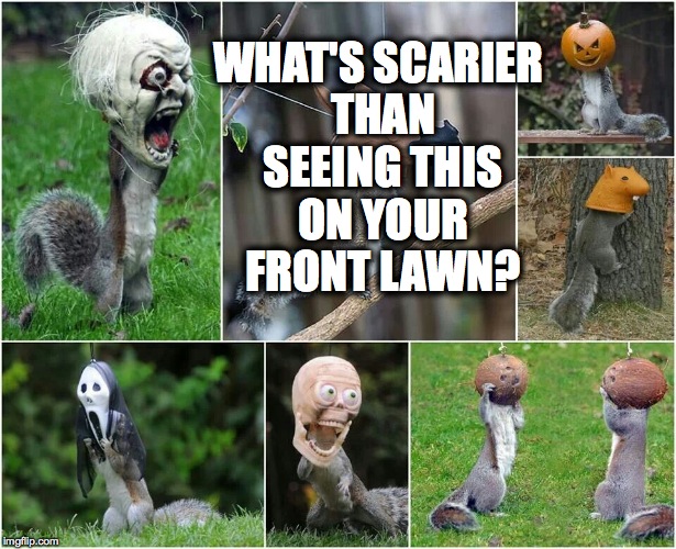 WHAT'S SCARIER THAN SEEING THIS ON YOUR FRONT LAWN? | image tagged in scary lawn | made w/ Imgflip meme maker