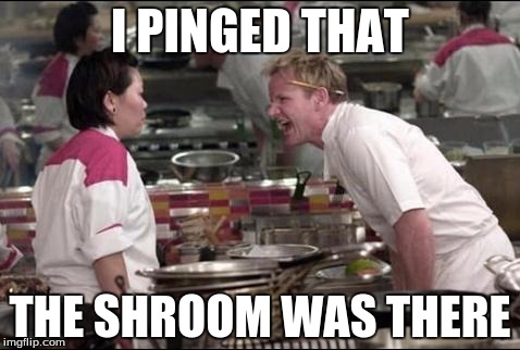 Angry Chef Gordon Ramsay Meme | I PINGED THAT THE SHROOM WAS THERE | image tagged in memes,angry chef gordon ramsay | made w/ Imgflip meme maker