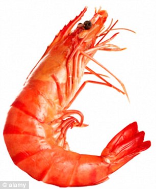 Inspiration Prawn Blank Meme Template