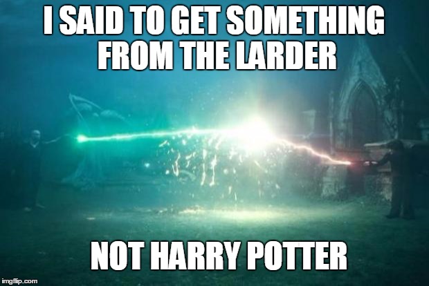 Harry Potter Voldemort Duel | I SAID TO GET SOMETHING FROM THE LARDER NOT HARRY POTTER | image tagged in harry potter voldemort duel | made w/ Imgflip meme maker