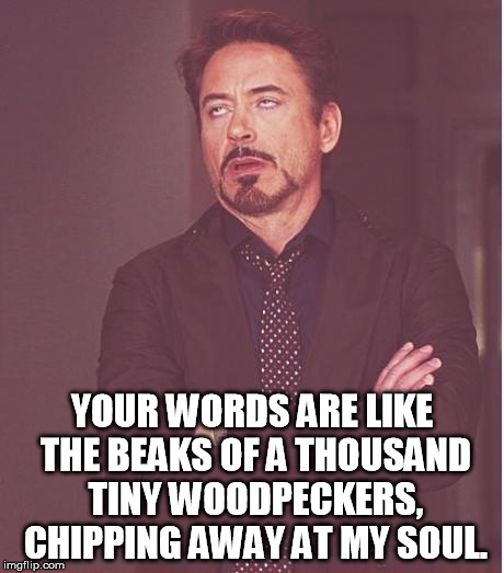 Face You Make Robert Downey Jr | YOUR WORDS ARE LIKE THE BEAKS OF A THOUSAND TINY WOODPECKERS, CHIPPING AWAY AT MY SOUL. | image tagged in memes,face you make robert downey jr | made w/ Imgflip meme maker