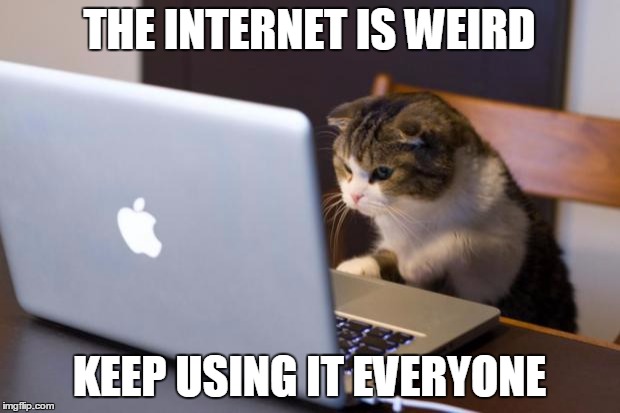 Cat using computer | THE INTERNET IS WEIRD KEEP USING IT EVERYONE | image tagged in cat using computer | made w/ Imgflip meme maker
