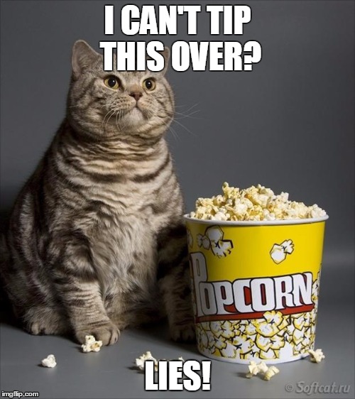 Cat eating popcorn | I CAN'T TIP THIS OVER? LIES! | image tagged in cat eating popcorn | made w/ Imgflip meme maker
