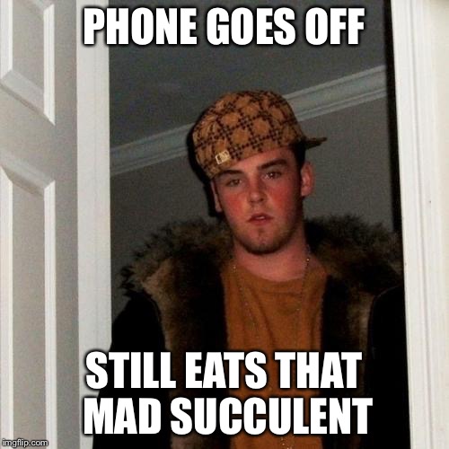 Scumbag Steve Meme | PHONE GOES OFF STILL EATS THAT MAD SUCCULENT | image tagged in memes,scumbag steve | made w/ Imgflip meme maker