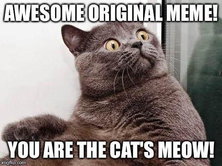surprised cat | AWESOME ORIGINAL MEME! YOU ARE THE CAT'S MEOW! | image tagged in surprised cat | made w/ Imgflip meme maker