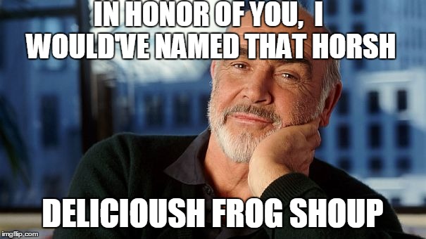 IN HONOR OF YOU,  I WOULD'VE NAMED THAT HORSH DELICIOUSH FROG SHOUP | image tagged in sean | made w/ Imgflip meme maker