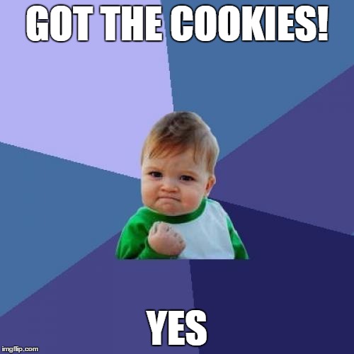 Success Kid | GOT THE COOKIES! YES | image tagged in memes,success kid | made w/ Imgflip meme maker
