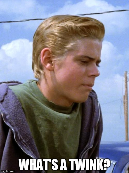 Ponyboy | WHAT'S A TWINK? | image tagged in ponyboy | made w/ Imgflip meme maker