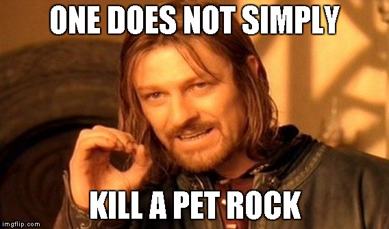 One Does Not Simply Meme | ONE DOES NOT SIMPLY KILL A PET ROCK | image tagged in memes,one does not simply | made w/ Imgflip meme maker