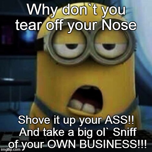 Minions | Why don`t you tear off your Nose Shove it up your ASS!! And take a big ol` Sniff of your OWN BUSINESS!!! | image tagged in minions | made w/ Imgflip meme maker