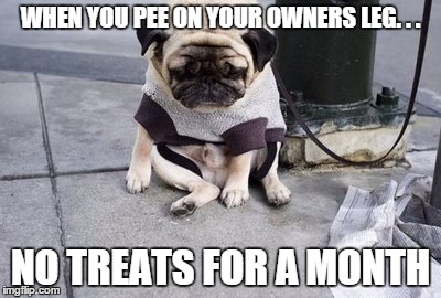 WHEN YOU PEE ON YOUR OWNERS LEG. . . NO TREATS FOR A MONTH | image tagged in disney | made w/ Imgflip meme maker