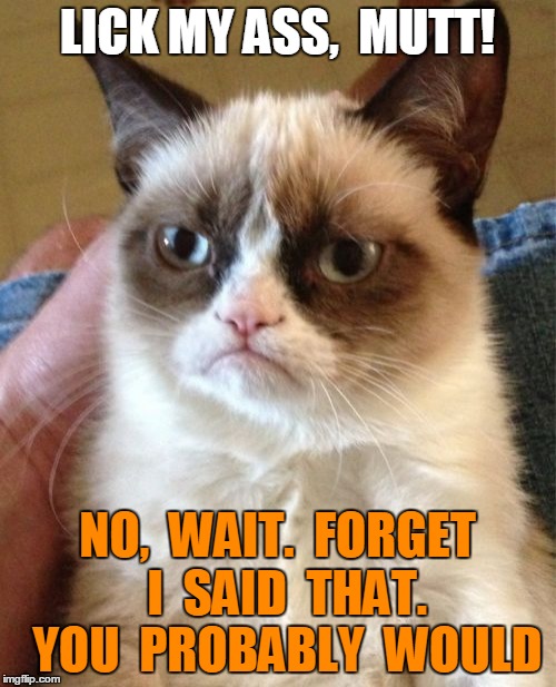 Grumpy Cat Meme | LICK MY ASS,  MUTT! NO,  WAIT.  FORGET  I  SAID  THAT.  YOU  PROBABLY  WOULD | image tagged in memes,grumpy cat | made w/ Imgflip meme maker