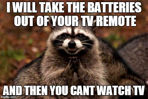 Evil Plotting Raccoon | I WILL TAKE THE BATTERIES OUT OF YOUR TV REMOTE AND THEN YOU CANT WATCH TV | image tagged in memes,evil plotting raccoon | made w/ Imgflip meme maker