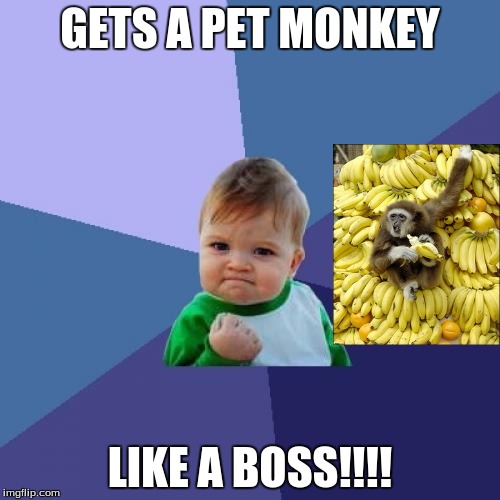 Success Kid Meme | GETS A PET MONKEY LIKE A BOSS!!!! | image tagged in memes,success kid | made w/ Imgflip meme maker