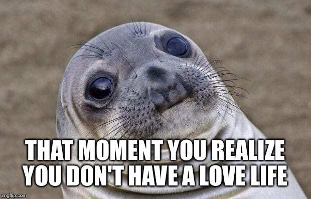 Awkward Moment Sealion | THAT MOMENT YOU REALIZE YOU DON'T HAVE A LOVE LIFE | image tagged in memes,awkward moment sealion | made w/ Imgflip meme maker