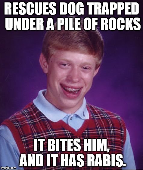 Bad Luck Brian | RESCUES DOG TRAPPED UNDER A PILE OF ROCKS IT BITES HIM, AND IT HAS RABIS. | image tagged in memes,bad luck brian | made w/ Imgflip meme maker