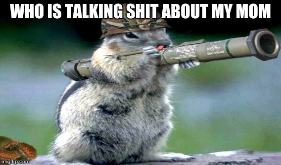 Who talking shit | WHO IS TALKING SHIT ABOUT MY MOM | image tagged in funny memes,squirrel | made w/ Imgflip meme maker