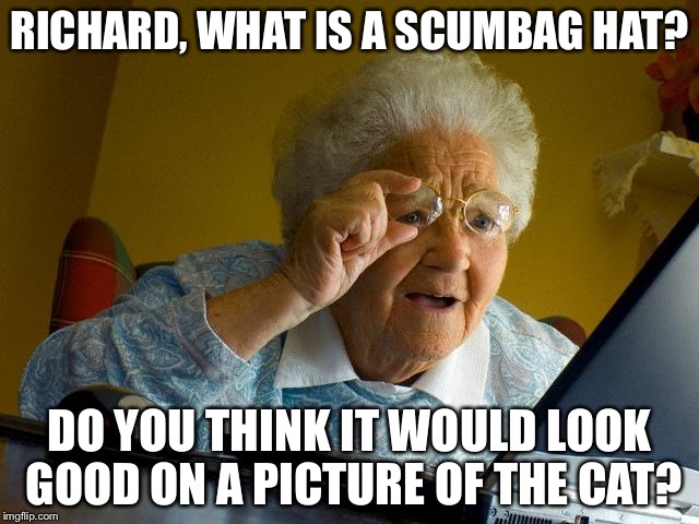 Grandma Finds The Internet Meme | RICHARD, WHAT IS A SCUMBAG HAT? DO YOU THINK IT WOULD LOOK GOOD ON A PICTURE OF THE CAT? | image tagged in memes,grandma finds the internet | made w/ Imgflip meme maker
