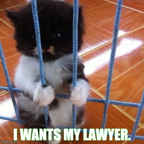 I WANTS MY LAWYER. | image tagged in jailed1,humor | made w/ Imgflip meme maker