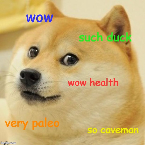 Doge Meme | wow such duck wow health very paleo so caveman | image tagged in memes,doge | made w/ Imgflip meme maker