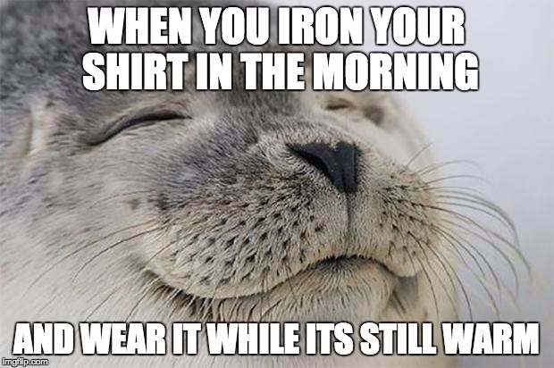 Satisfied Seal Meme | WHEN YOU IRON YOUR SHIRT IN THE MORNING AND WEAR IT WHILE ITS STILL WARM | image tagged in memes,satisfied seal | made w/ Imgflip meme maker