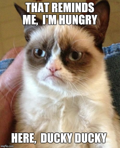 Grumpy Cat Meme | THAT REMINDS ME,  I'M HUNGRY HERE,  DUCKY DUCKY | image tagged in memes,grumpy cat | made w/ Imgflip meme maker