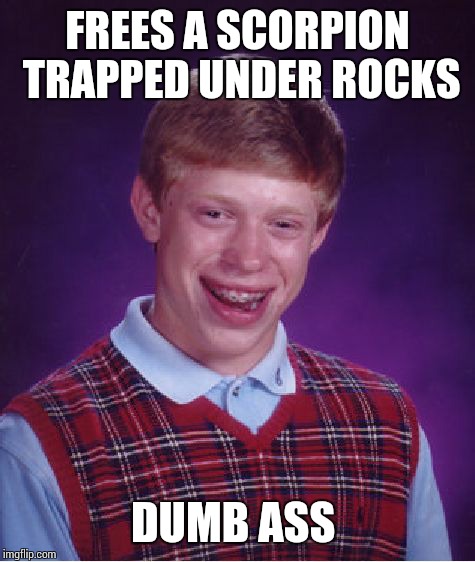 Bad Luck Brian Meme | FREES A SCORPION TRAPPED UNDER ROCKS DUMB ASS | image tagged in memes,bad luck brian | made w/ Imgflip meme maker