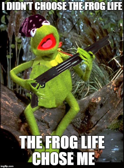 Bye Sean | I DIDN'T CHOOSE THE FROG LIFE THE FROG LIFE CHOSE ME | image tagged in funny memes,meme war,imgflip,kermit vs connery,frog life | made w/ Imgflip meme maker