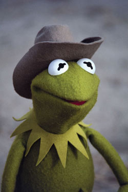 Texas Kermit Blank Meme Template