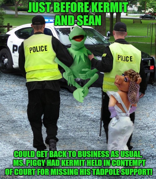 Ms. Piggy throws a wrench into Kermit's plans. | JUST BEFORE KERMIT AND SEAN COULD GET BACK TO BUSINESS AS USUAL,  MS. PIGGY HAD KERMIT HELD IN CONTEMPT OF COURT FOR MISSING HIS TADPOLE SUP | image tagged in kermit police,sean connery  kermit,kermit the frog,kermit | made w/ Imgflip meme maker